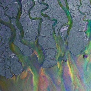 Meet your Posher, Hailey